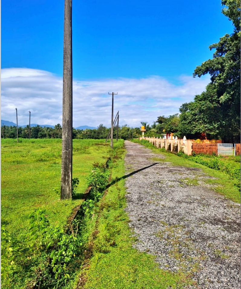 Plot for sale in kambadakone village baindoor — photo 4