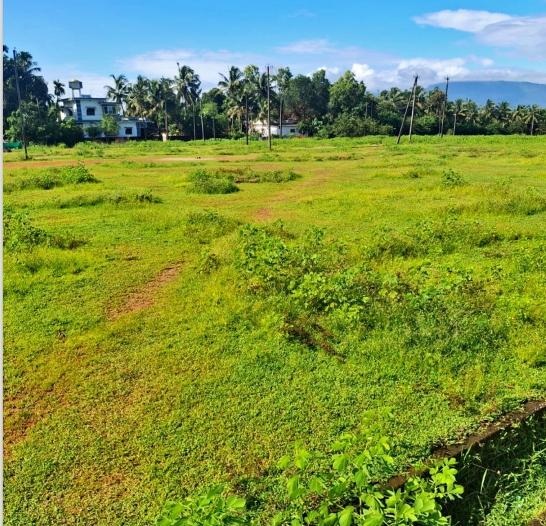 Plot for sale in kambadakone village baindoor — photo 1