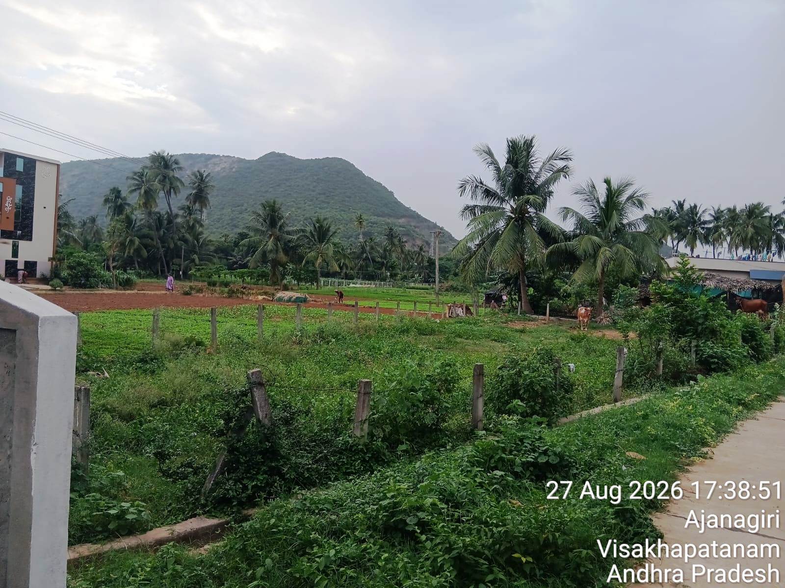 482.21 square yard Plot for sale in vacant Land, Ajanagiri,Syam way Pharmacity colony,Marripalem,Visakhapatnam Visakhapatnam — photo 1