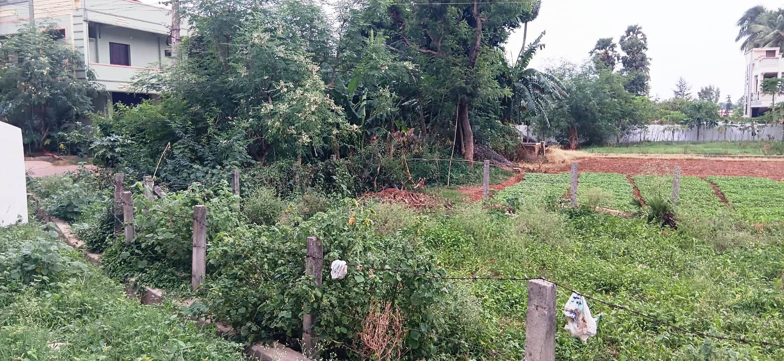 482.21 square yard Plot for sale in vacant Land, Ajanagiri,Syam way Pharmacity colony,Marripalem,Visakhapatnam Visakhapatnam — photo 2