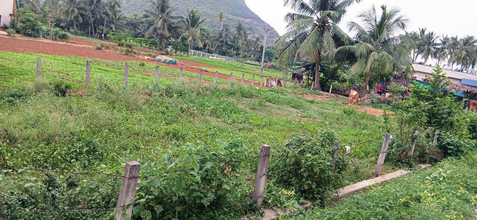 482.21 square yard Plot for sale in vacant Land, Ajanagiri,Syam way Pharmacity colony,Marripalem,Visakhapatnam Visakhapatnam — photo 3
