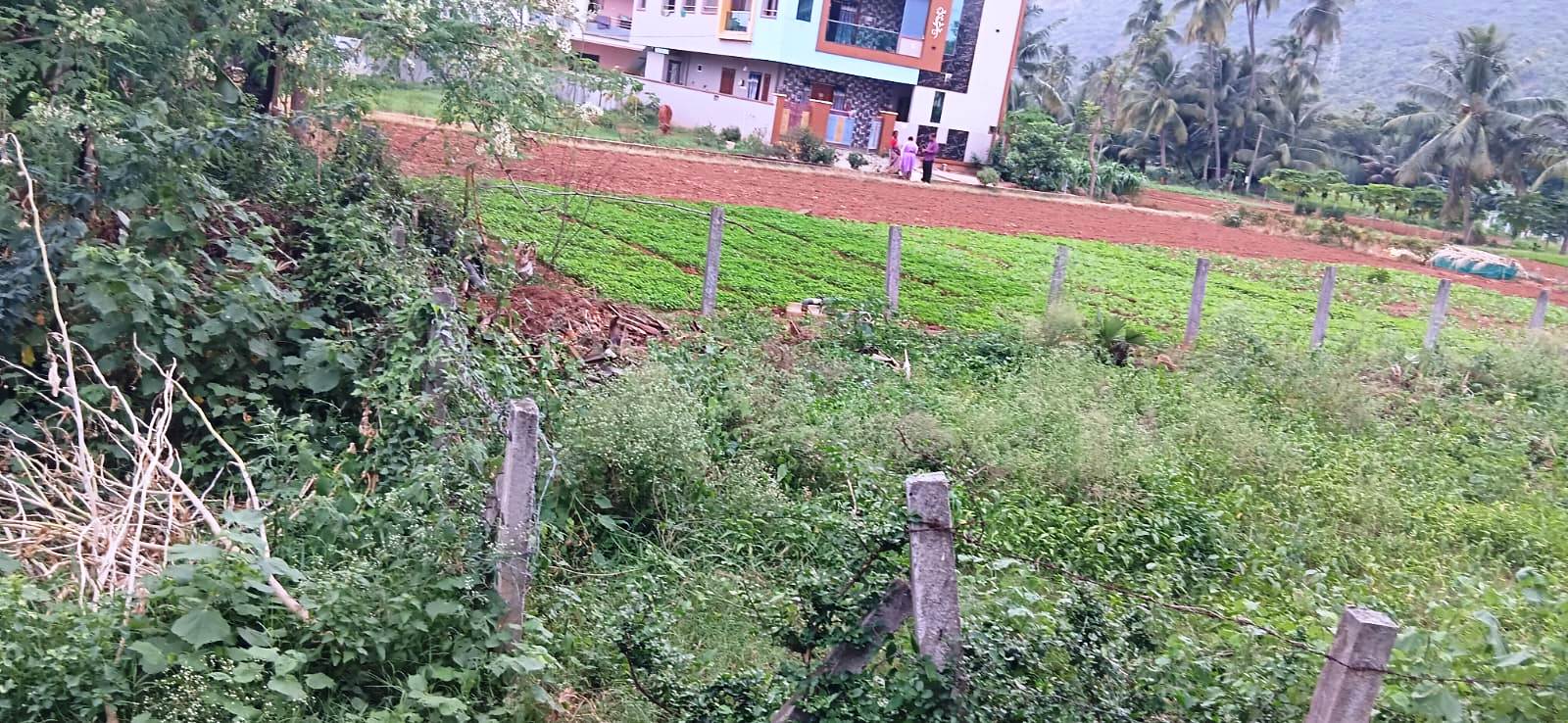 482.21 square yard Plot for sale in vacant Land, Ajanagiri,Syam way Pharmacity colony,Marripalem,Visakhapatnam Visakhapatnam — photo 4