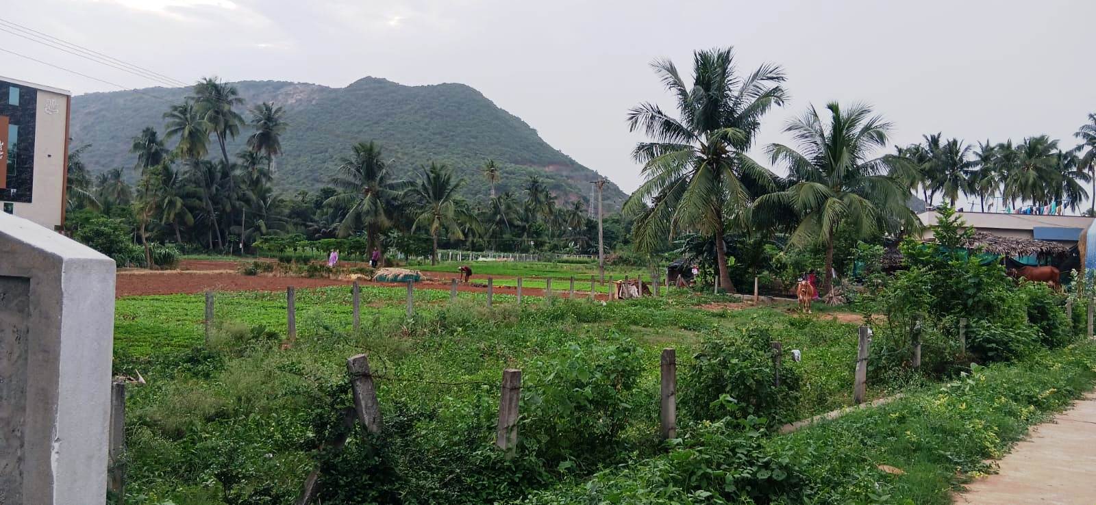 482.21 square yard Plot for sale in vacant Land, Ajanagiri,Syam way Pharmacity colony,Marripalem,Visakhapatnam Visakhapatnam — photo 7