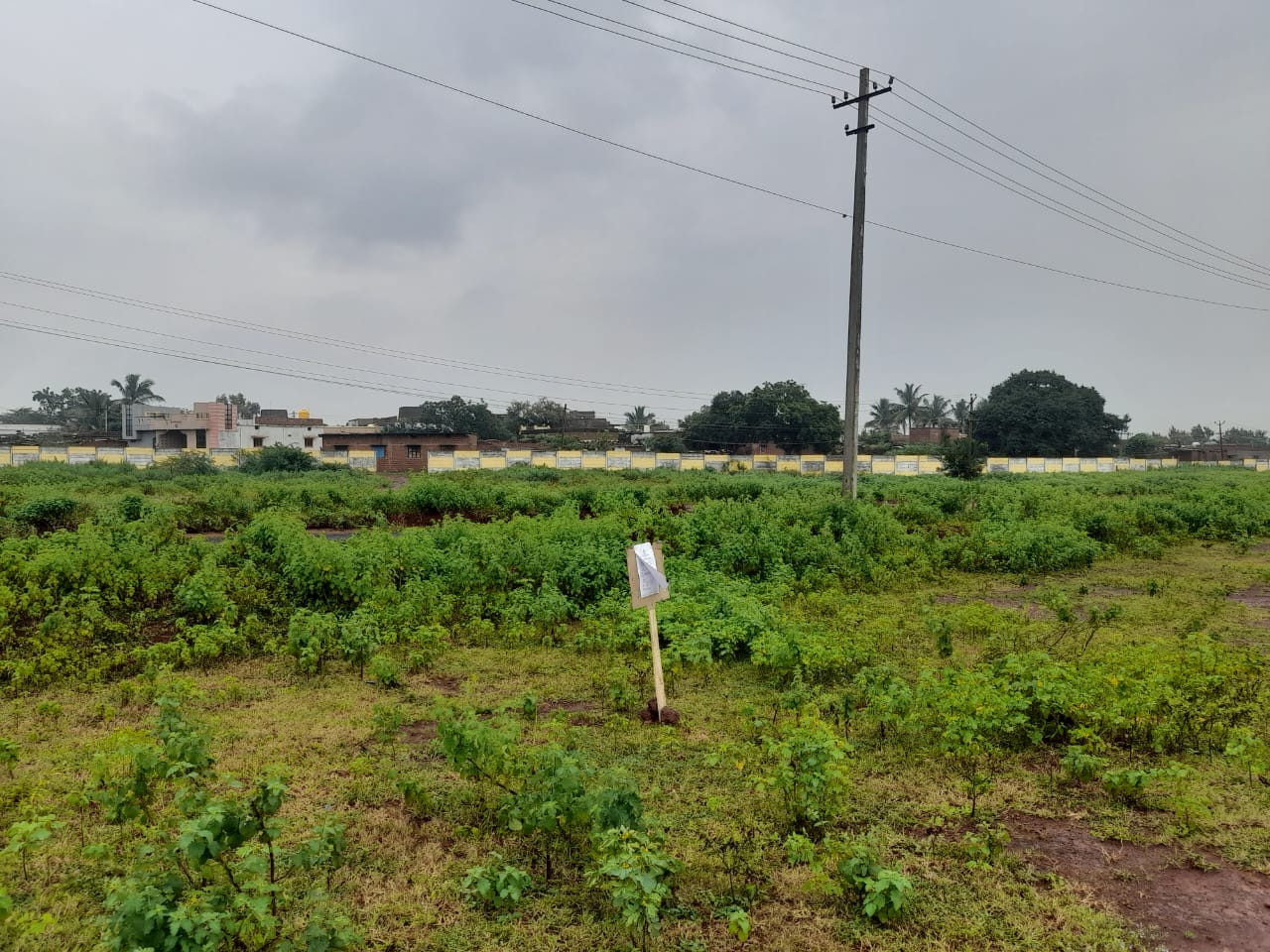1162 square feet Plot for sale in Bidar — photo 12