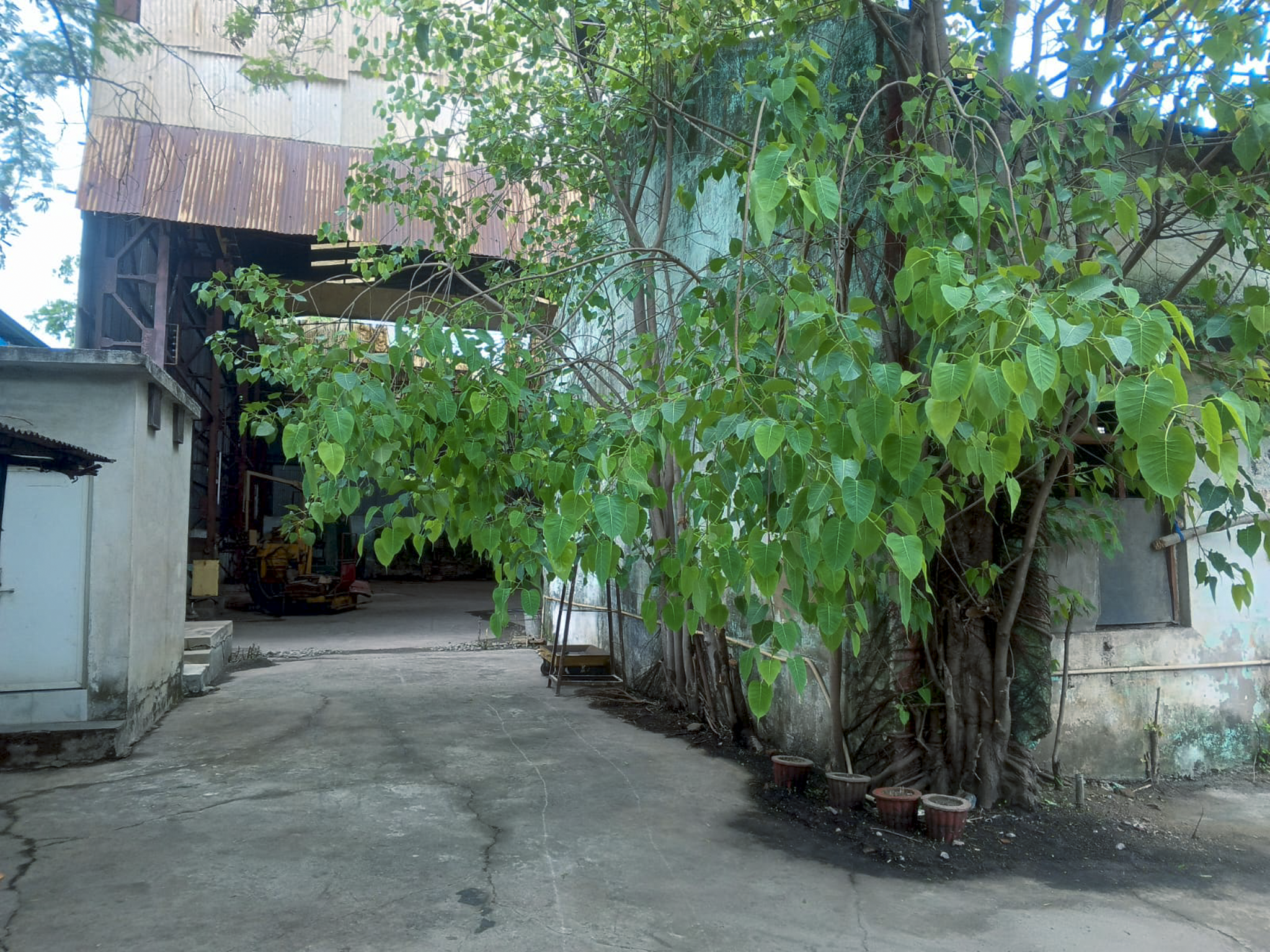 12784 square feet Industrial Plot with Factory Building for sale in Bhilai — photo 15