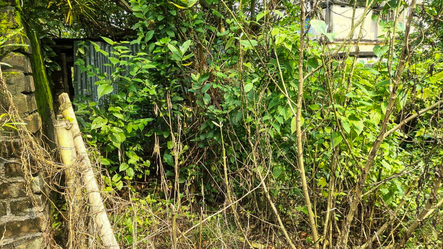 Individual House for sale in Krishnanagar — photo 1