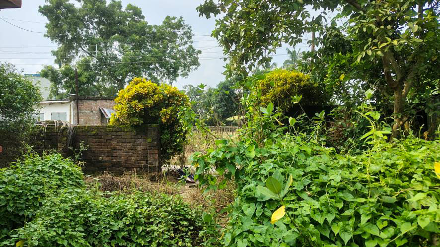 Individual House for sale in Krishnanagar — photo 11