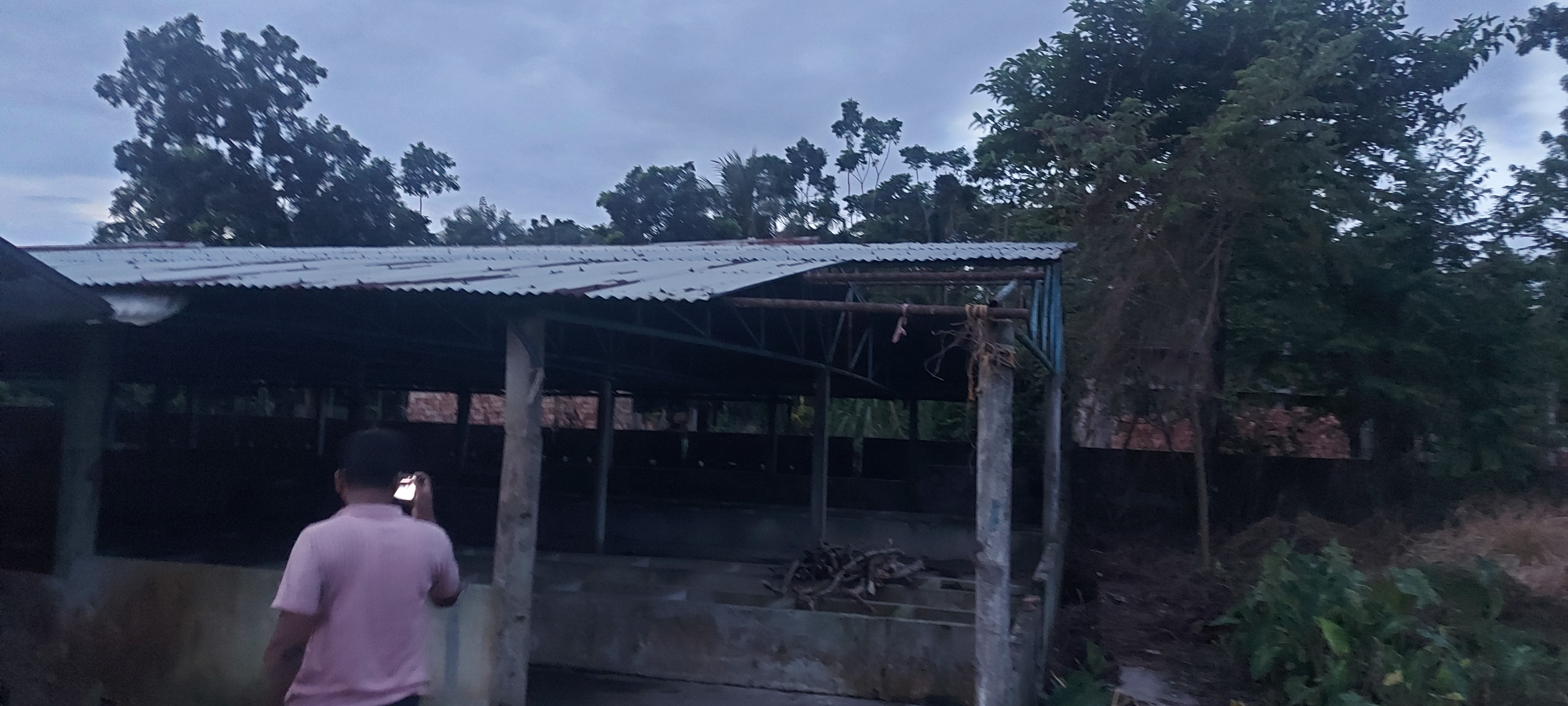 Danga land used for dairy firm for sale in Matikumra, P.S- Gaighata Gobardanga