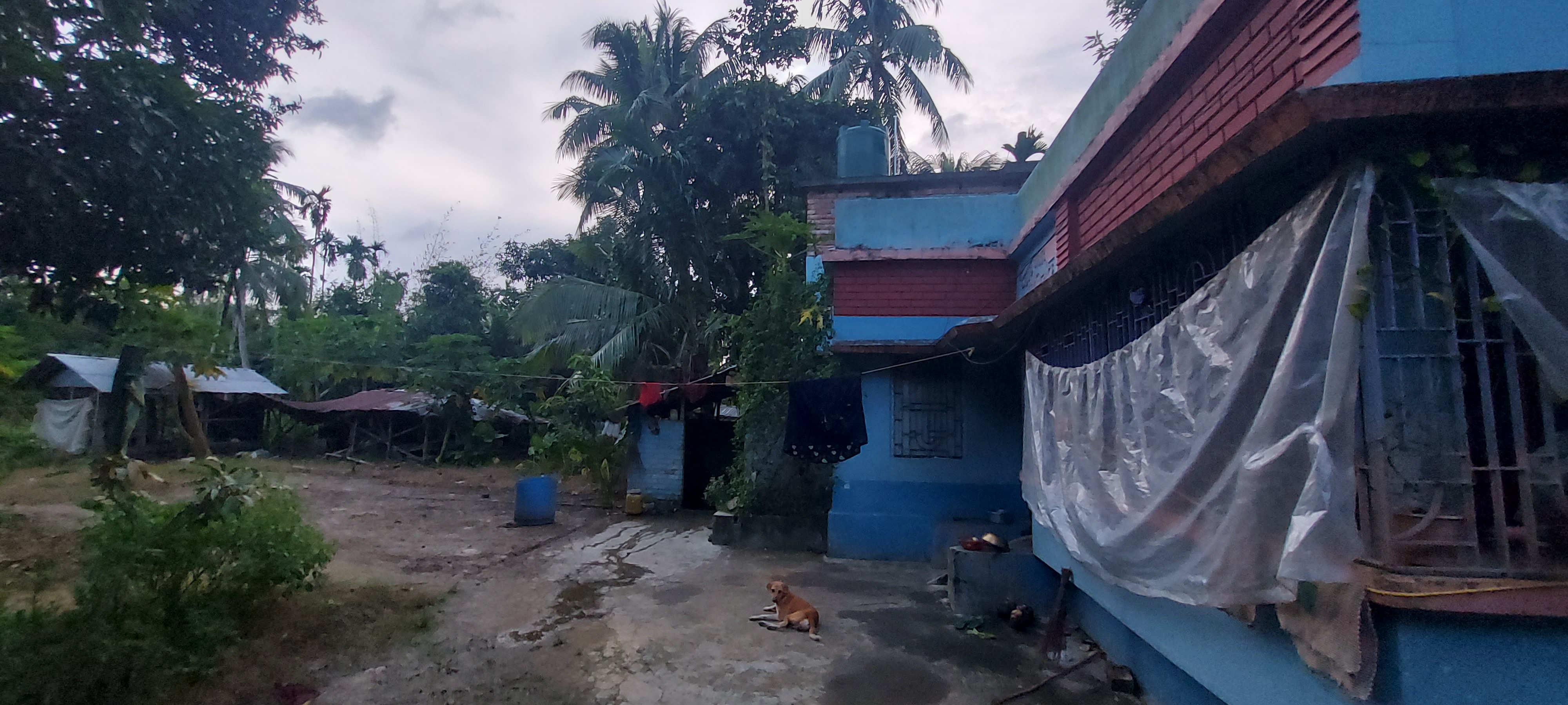 Individual House for sale in Gobardanga Ichapur Gobardanga — photo 2