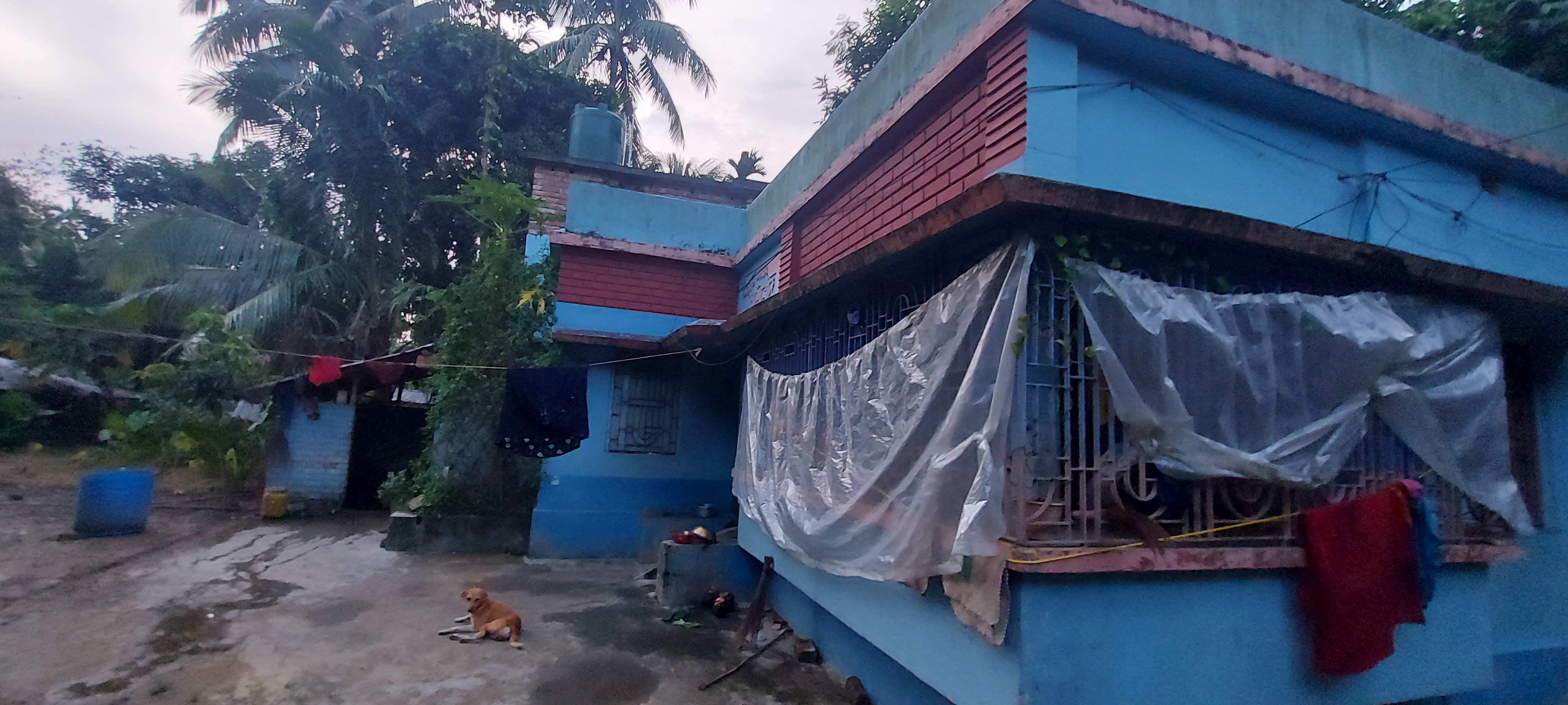Individual House for sale in Gobardanga Ichapur Gobardanga — photo 4