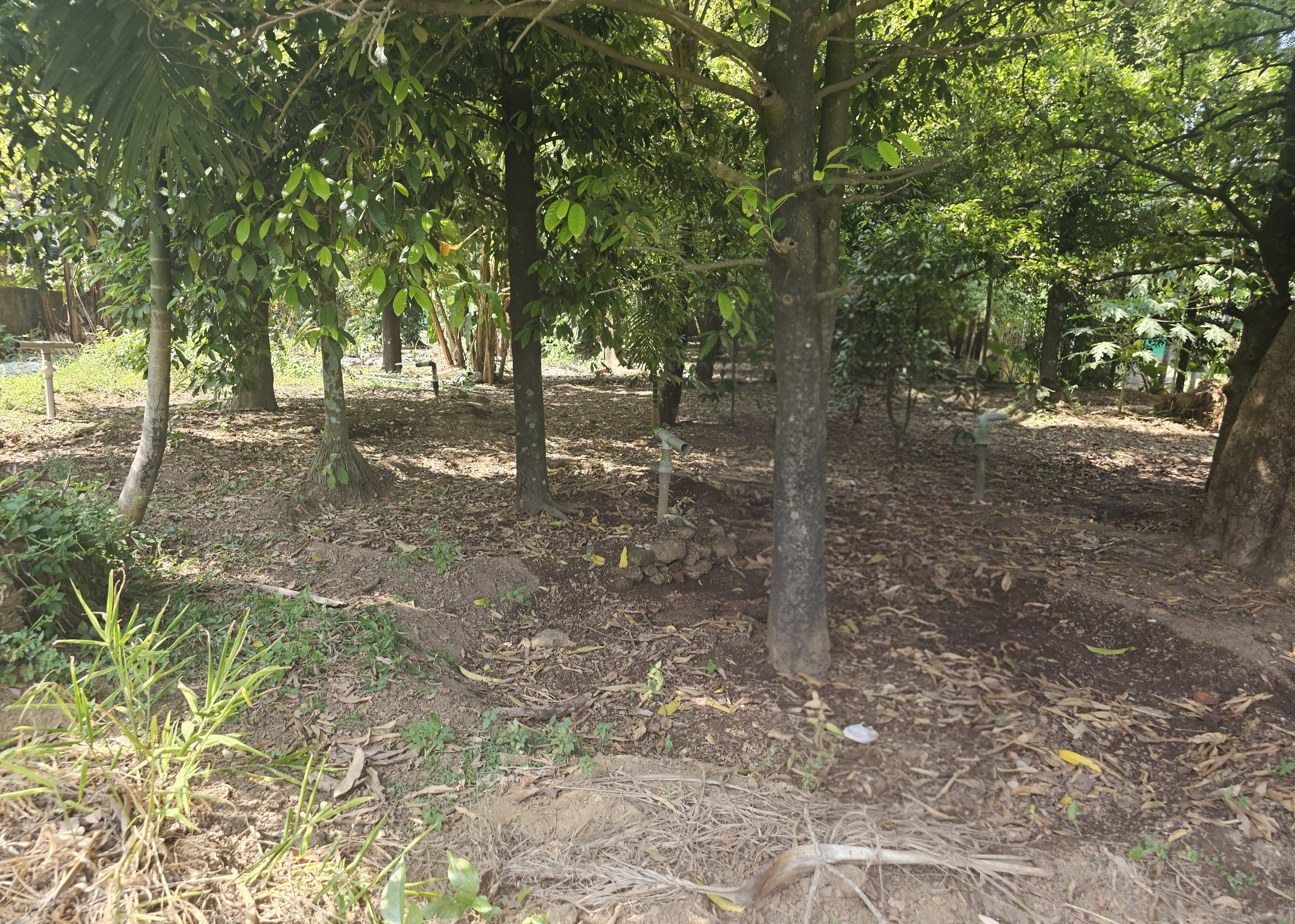 LAND ONLY for sale in Chowwara — photo 1