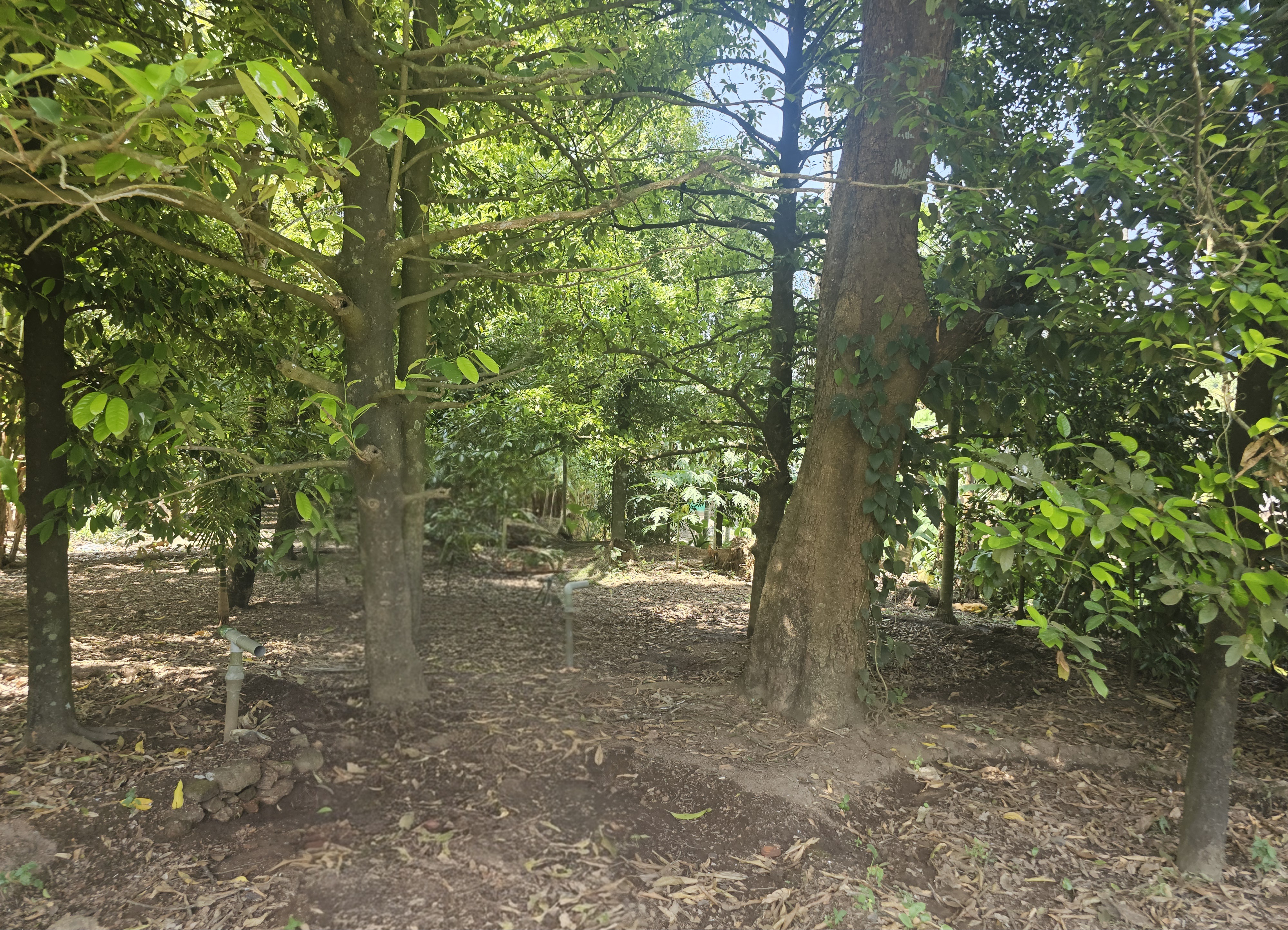 LAND ONLY for sale in Chowwara — photo 2