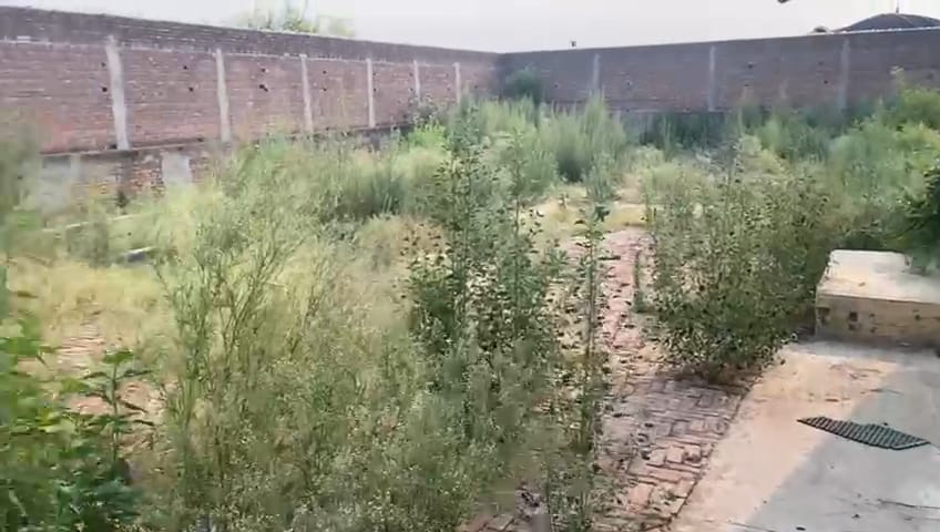 Godowns for sale in Nawanshahar Nawanshahr — photo 1