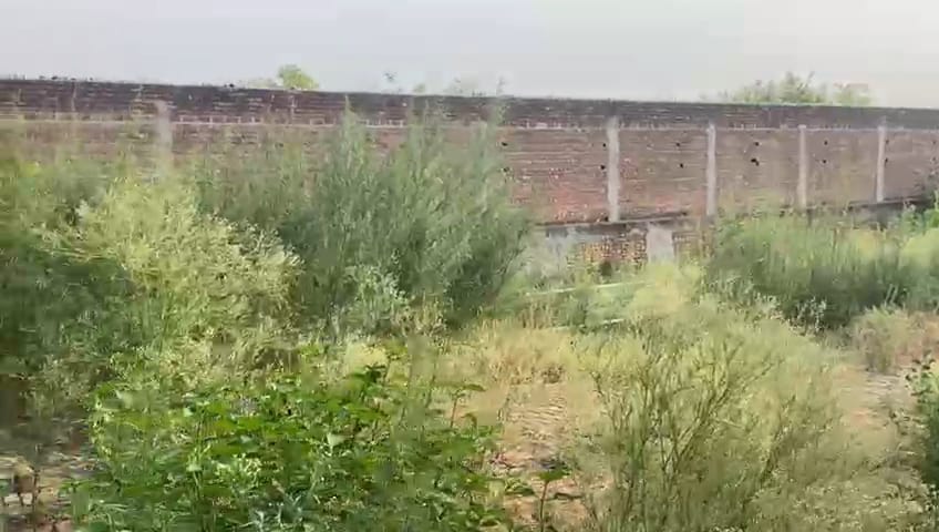 Godowns for sale in Nawanshahar Nawanshahr — photo 2