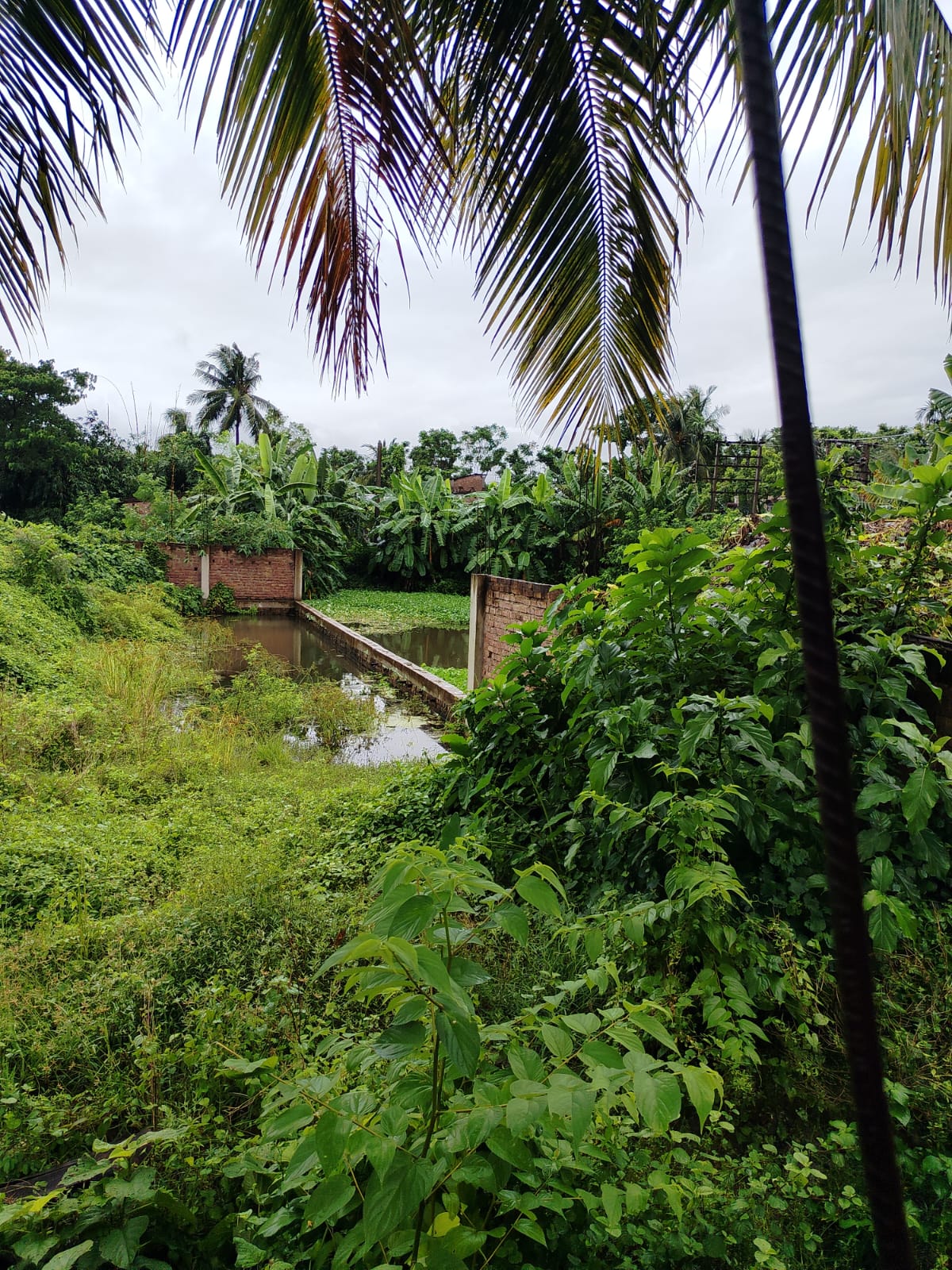 3049 square feet Plot for sale in BAGANATI HIGH SCHOOL Minakhan — photo 1