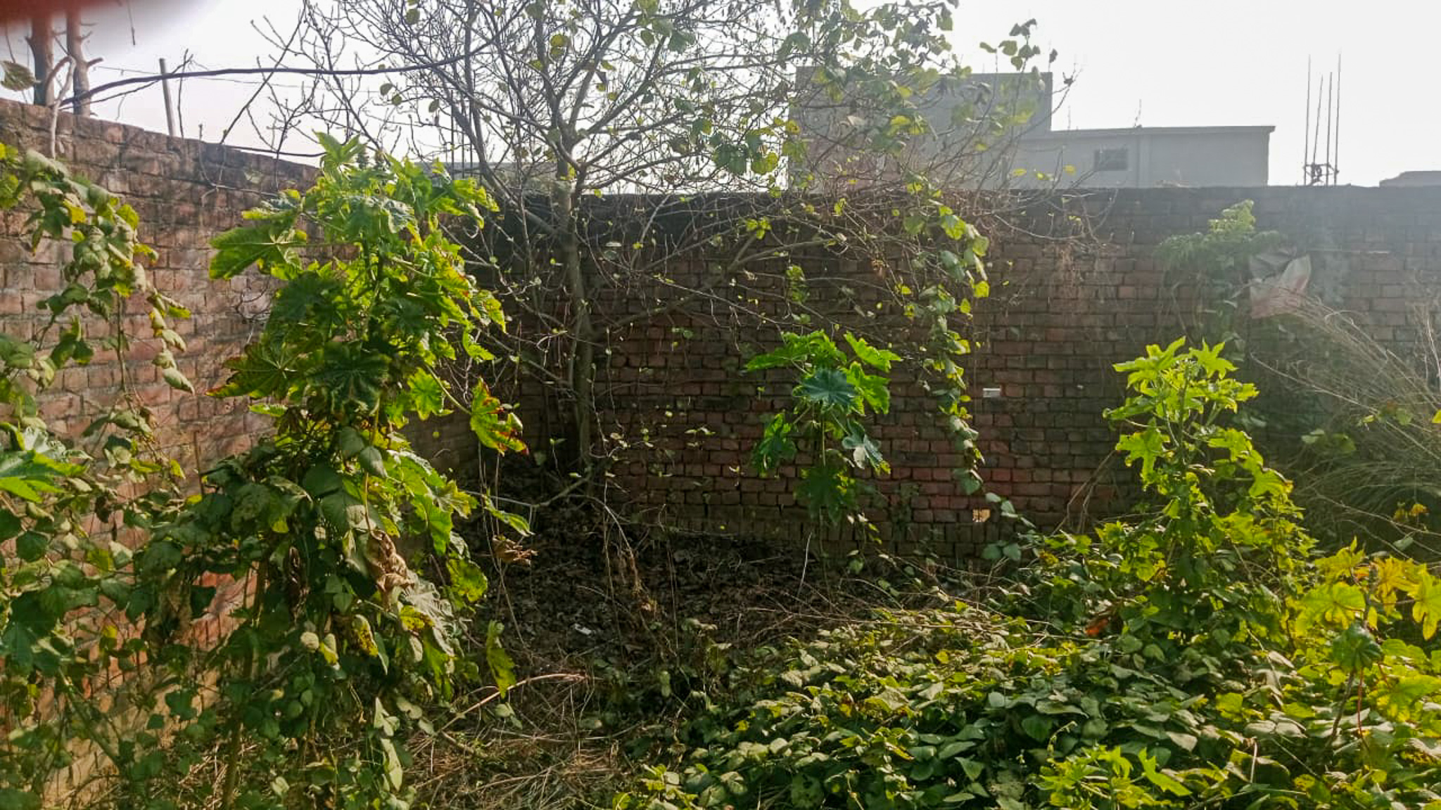 Individual House for sale in Amritsar — photo 15