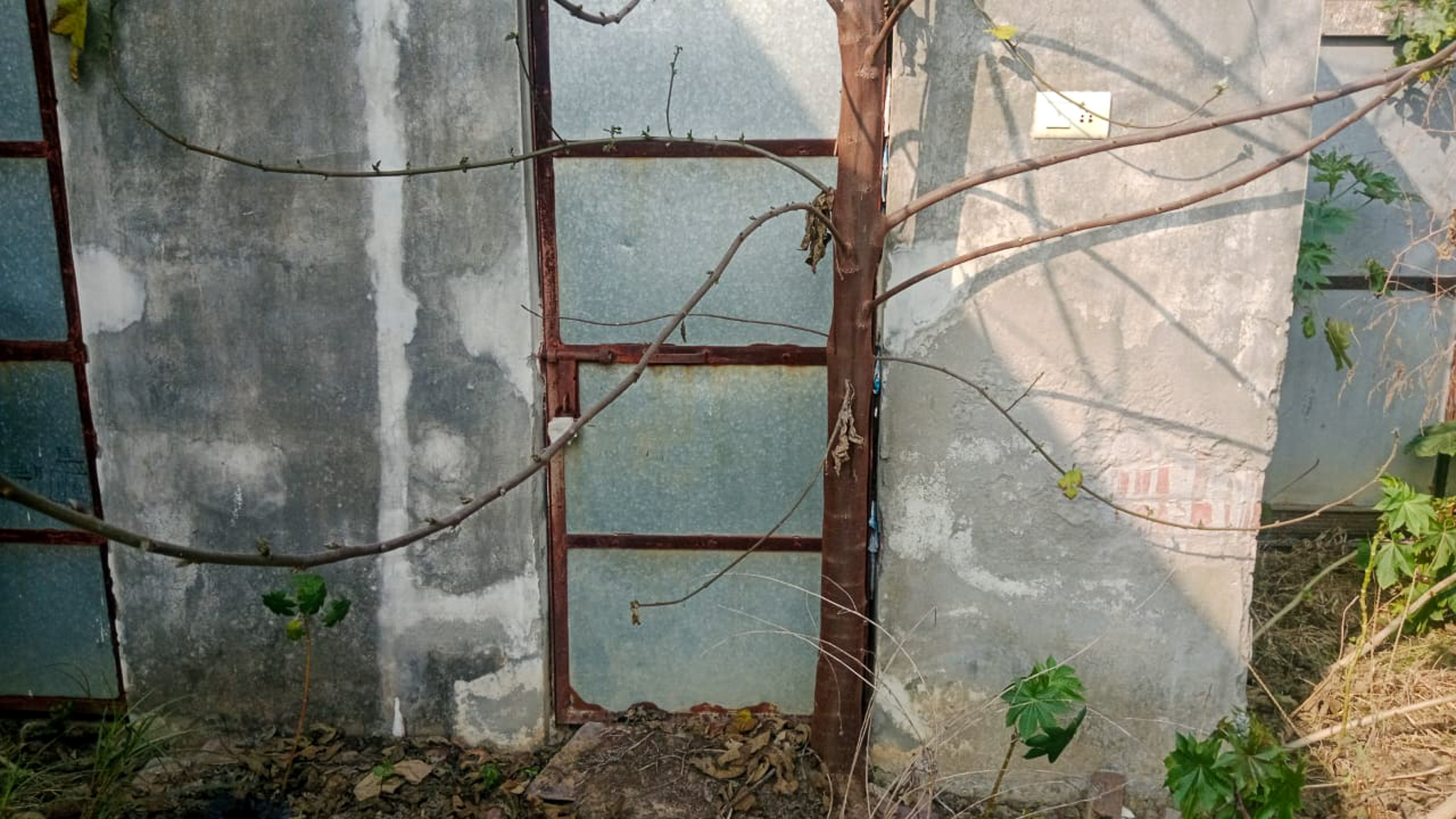 Individual House for sale in Amritsar — photo 20