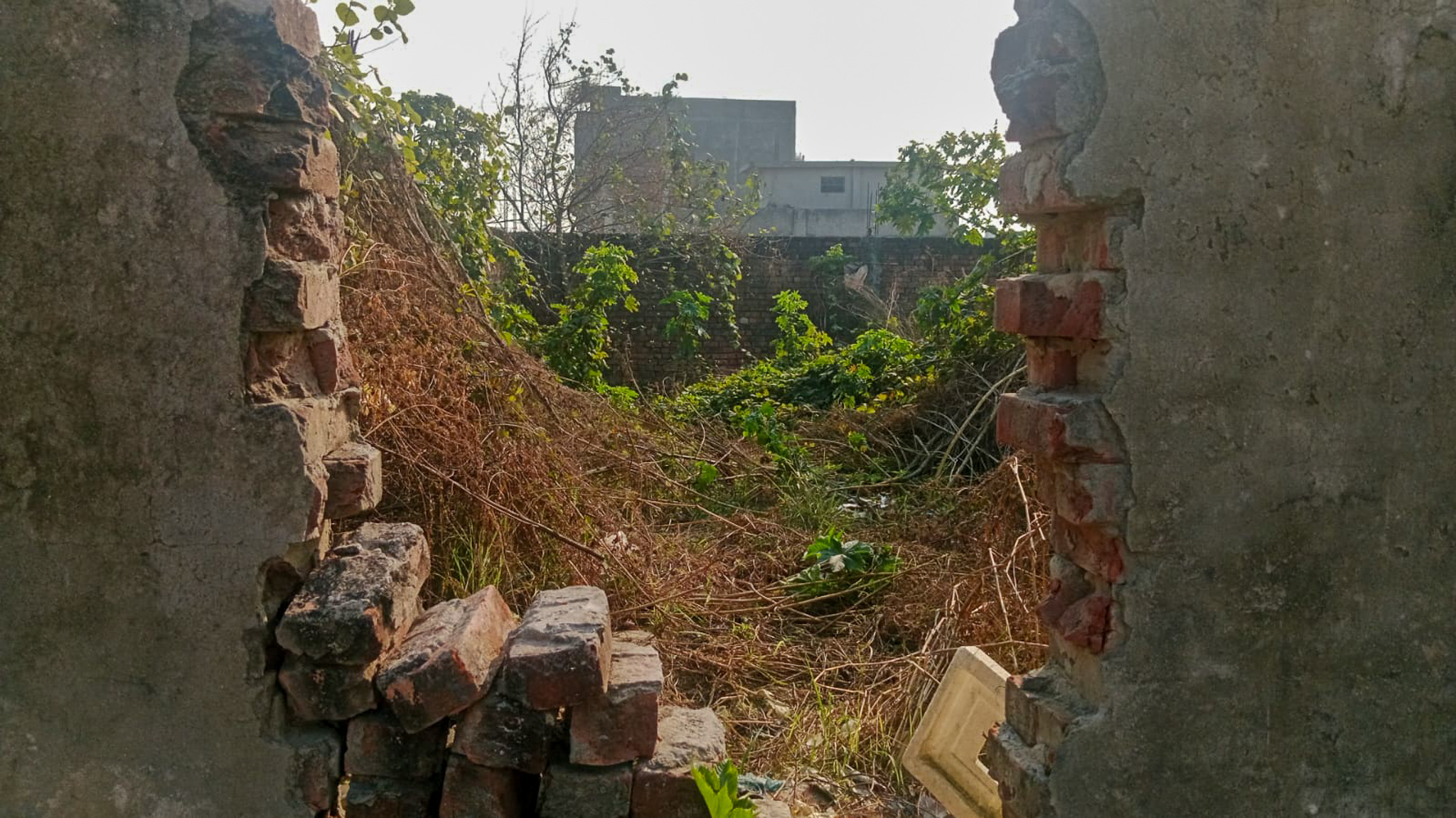 Individual House for sale in Amritsar — photo 8
