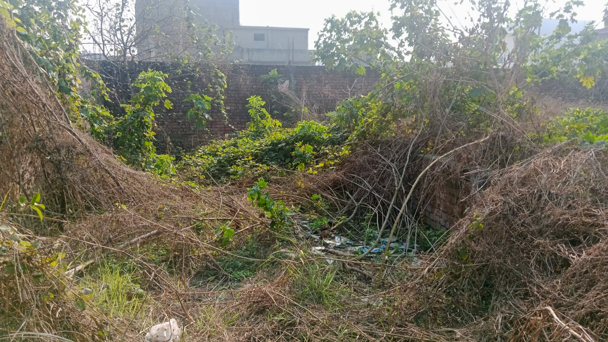 Individual House for sale in Amritsar — photo 9
