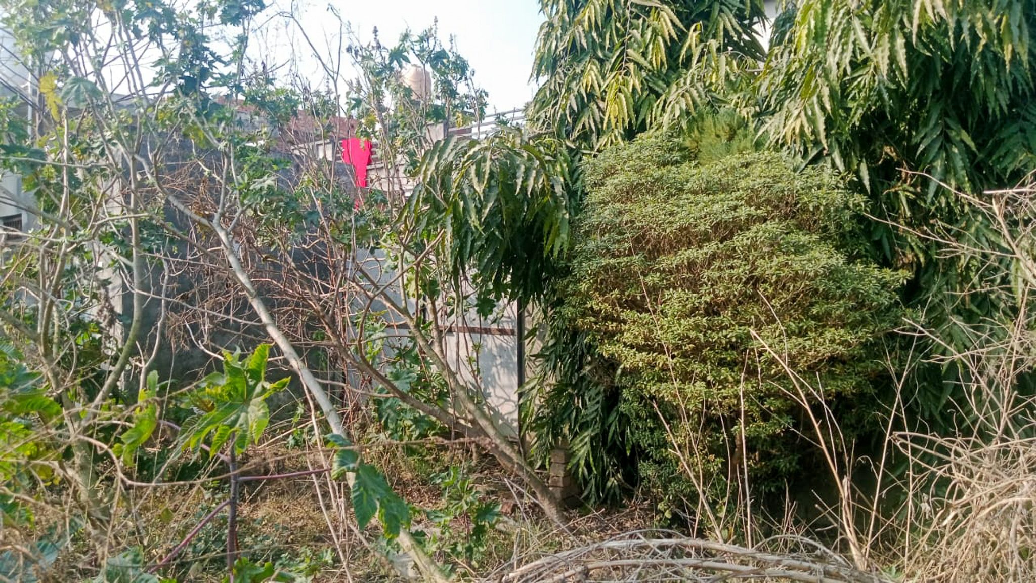 Individual House for sale in Amritsar — photo 10