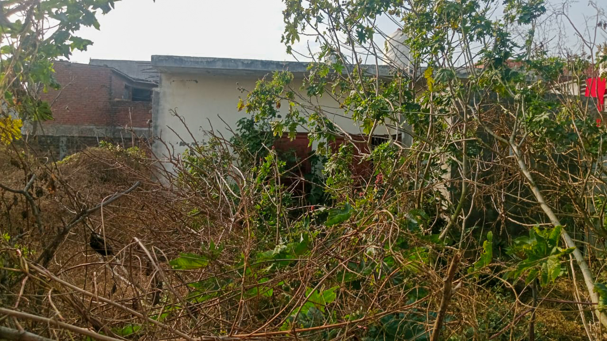 Individual House for sale in Amritsar — photo 11
