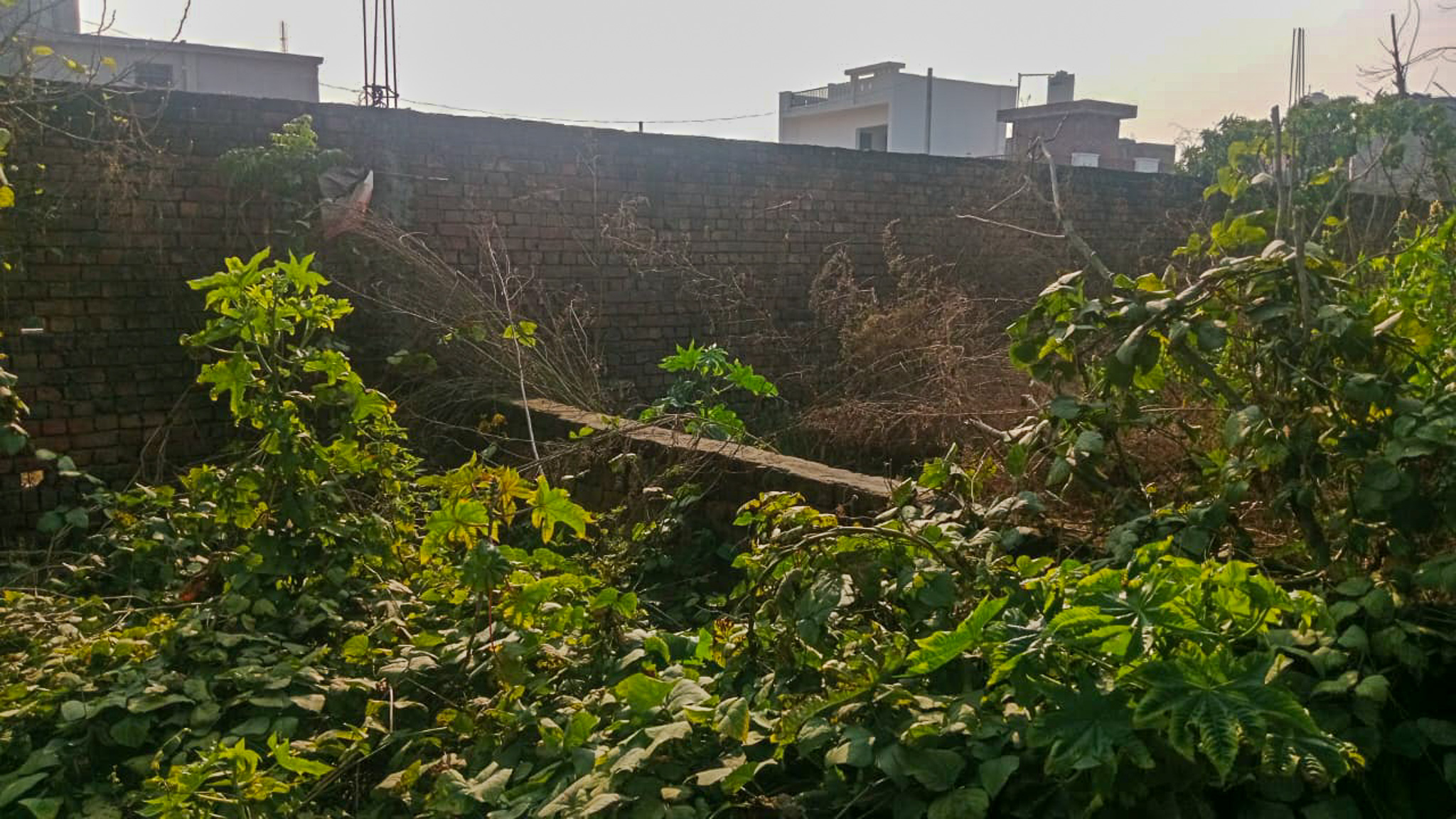 Individual House for sale in Amritsar — photo 12