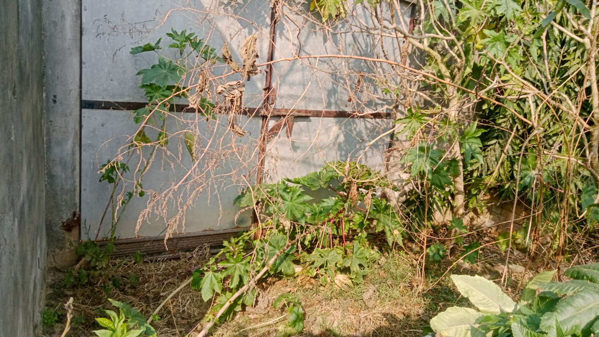 Individual House for sale in Amritsar — photo 24