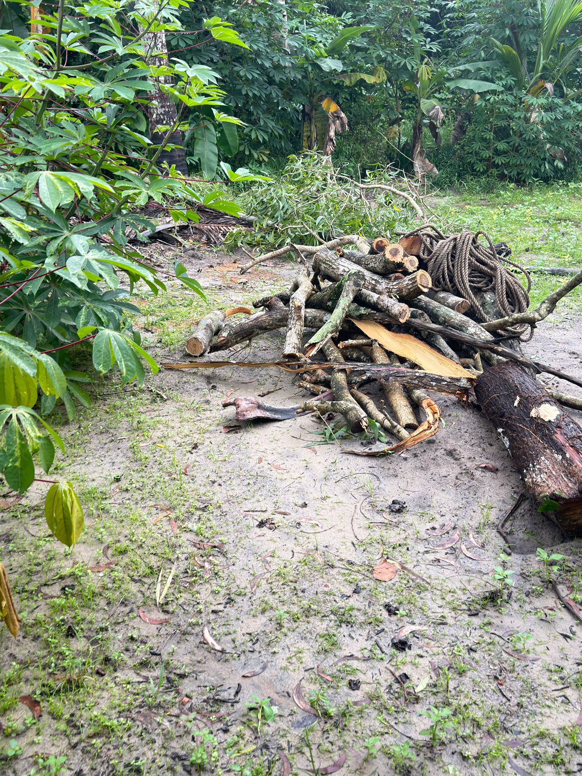 Plot for sale in Alappuzha — photo 1
