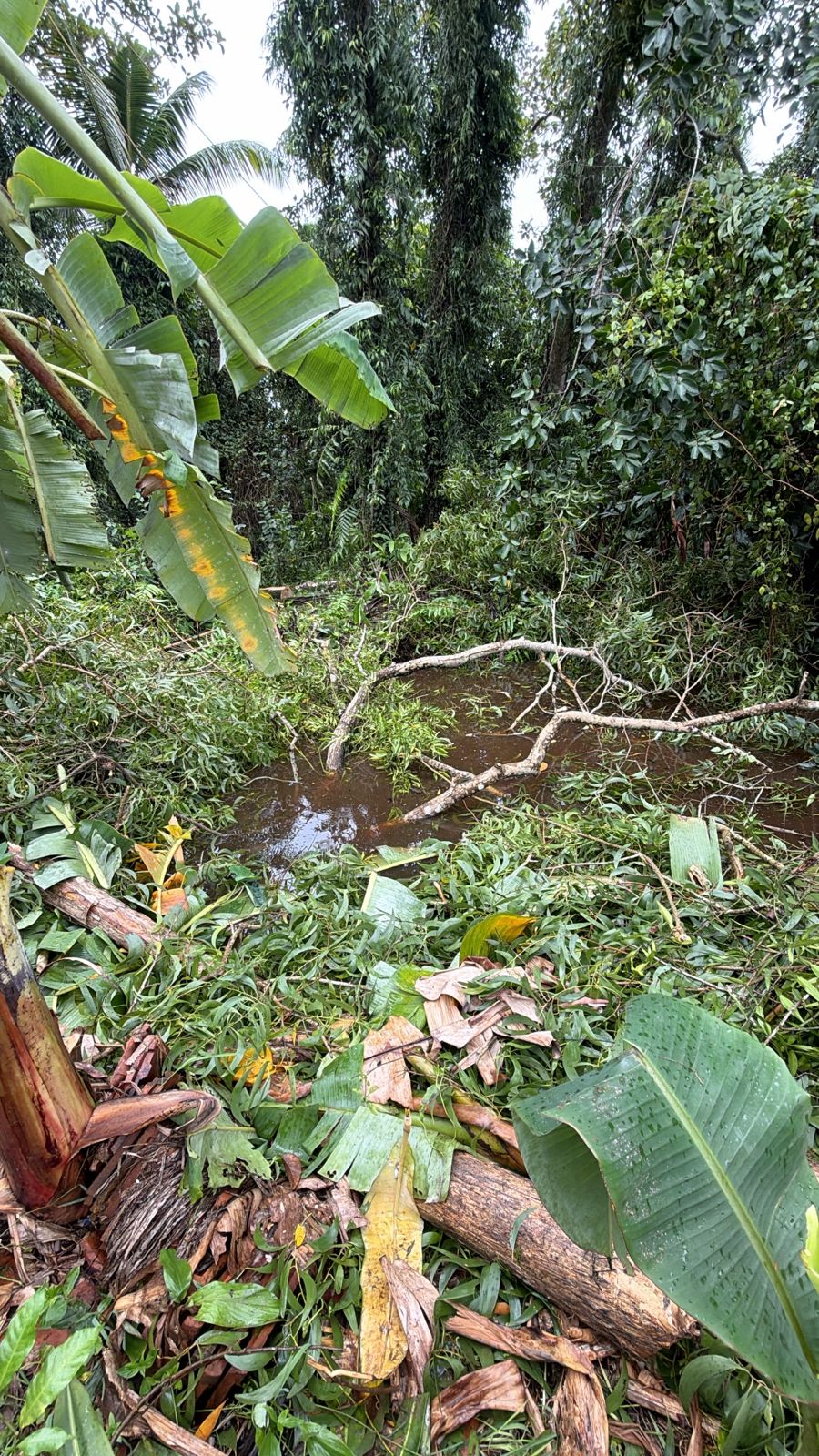 Plot for sale in Alappuzha — photo 4