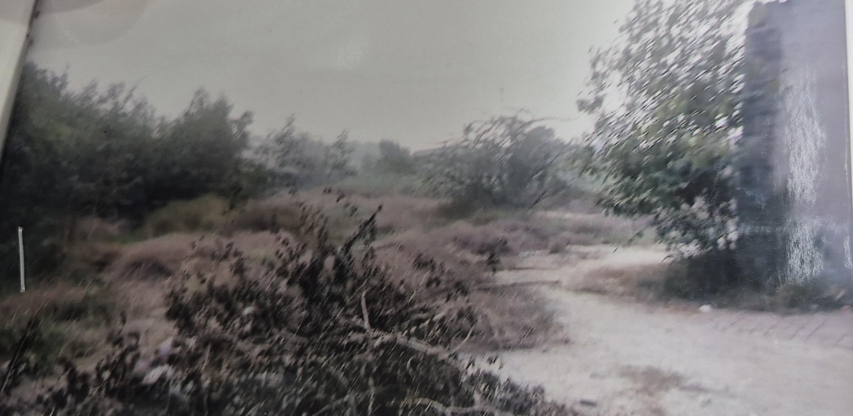3043 square yard Plot for sale in Jalalabad Jalalabad — photo 1