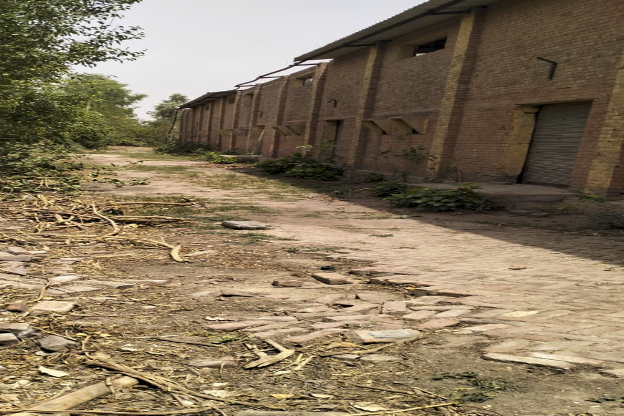 9680 square yard Godowns for sale in Gumaniwala Road Jalalabad — photo 1