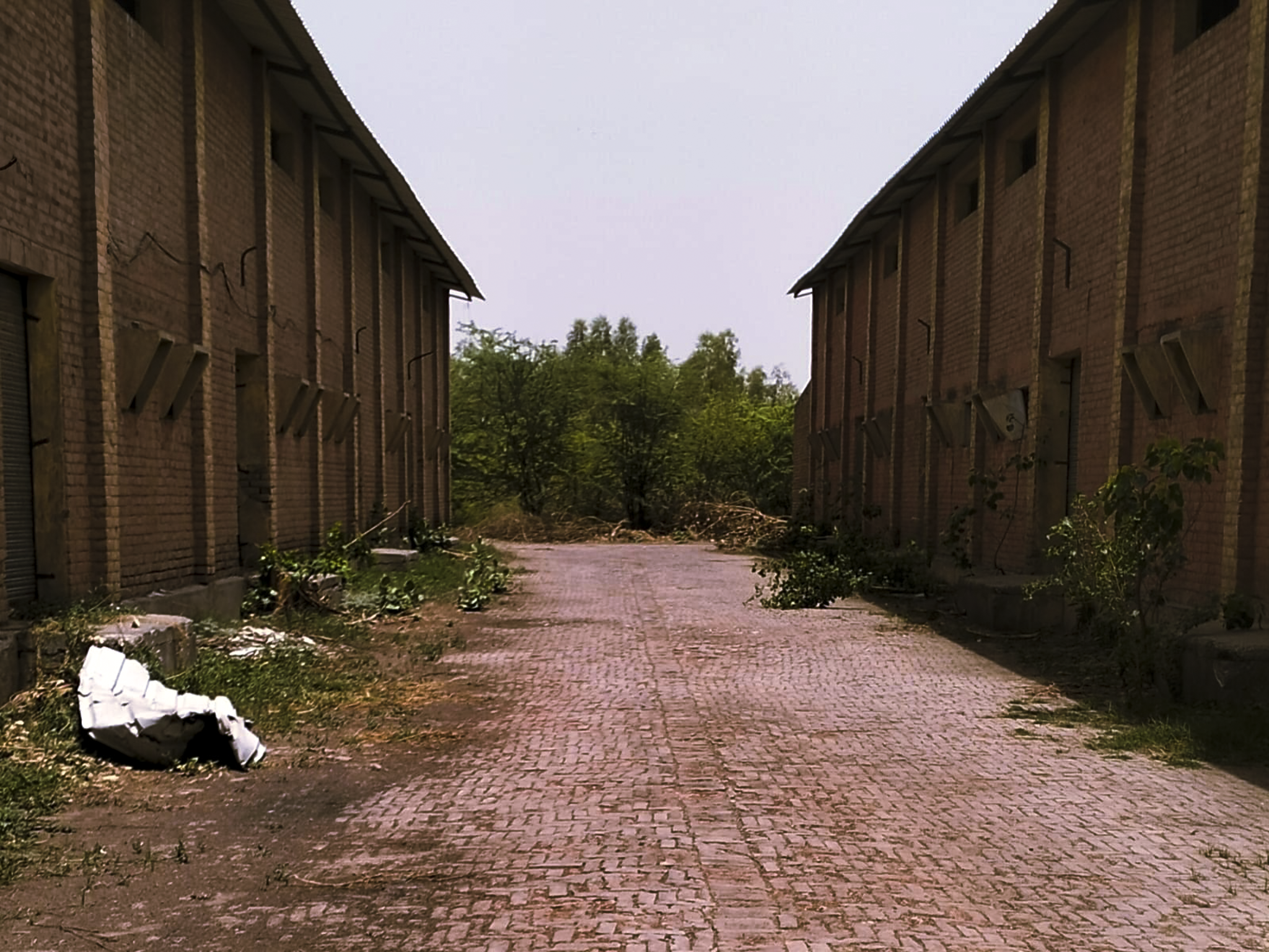 9680 square yard Godowns for sale in Gumaniwala Road Jalalabad — photo 3