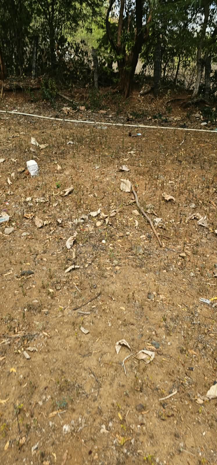 VACANT LAND (COLLEGE GROUND) for sale in Coimbatore — photo 2