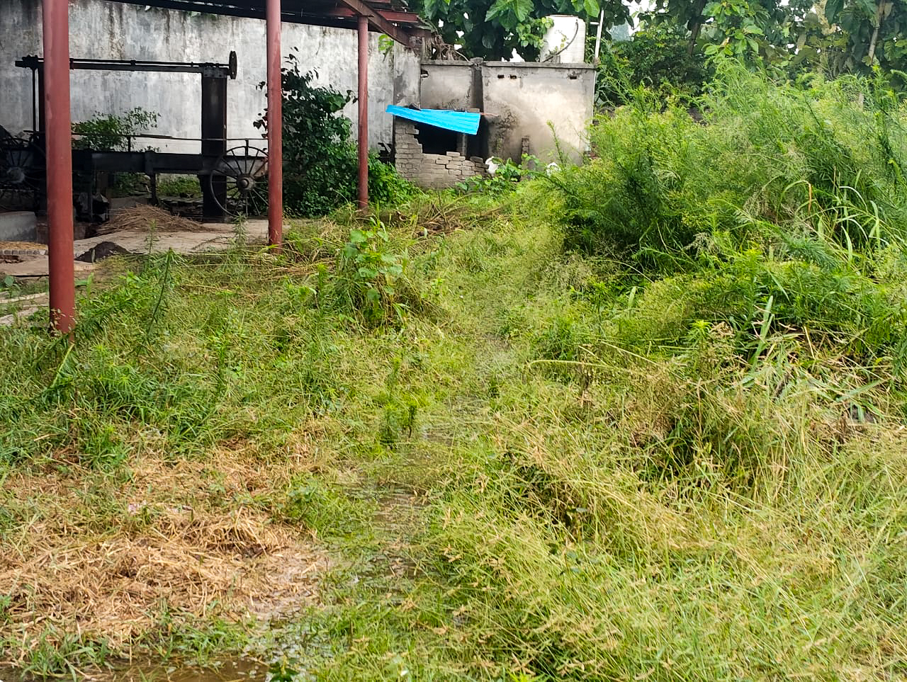 Industrial Shed for sale in Hoshiarpur — photo 6