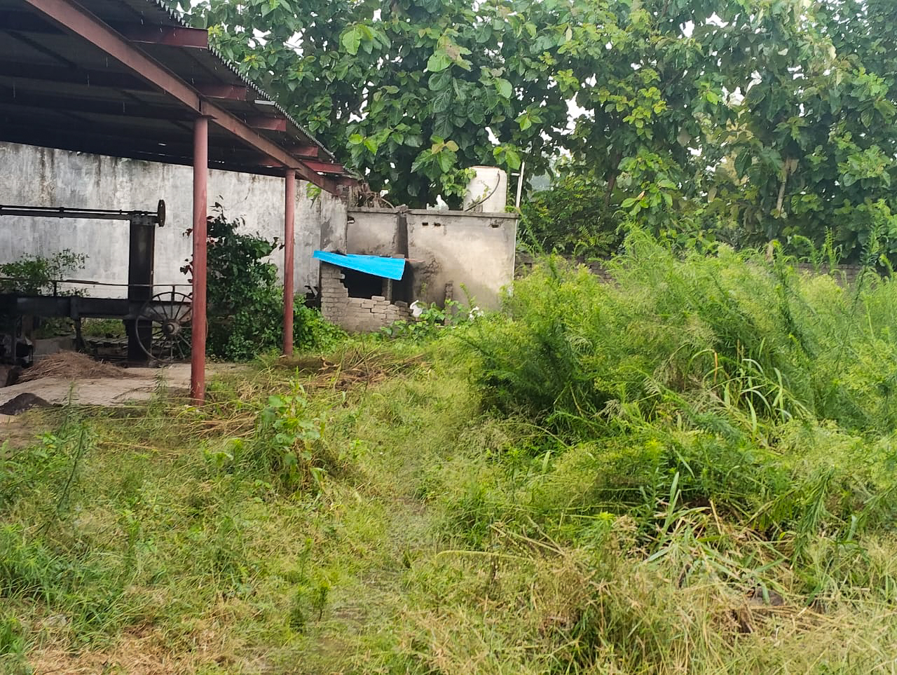 Industrial Shed for sale in Hoshiarpur — photo 10