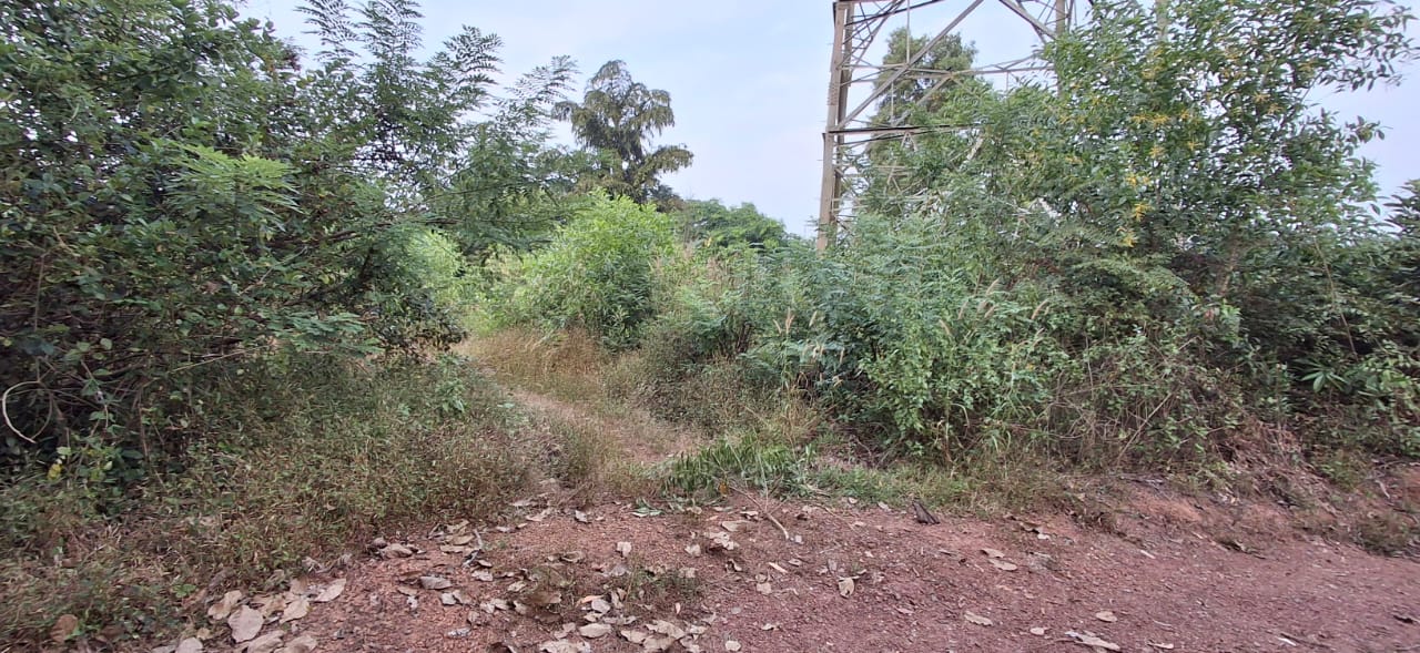 VACANT LAND for sale in Chelora — photo 1