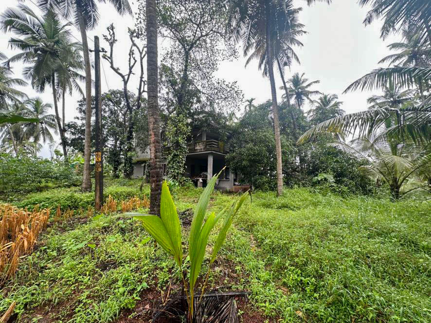 Individual House for sale in Kondotty Chelambra — photo 15