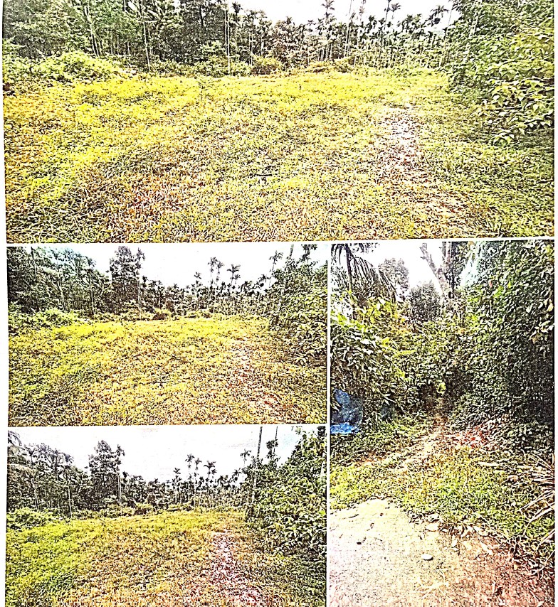 40.48 Ares PLOT FOR SALE IN Noolpuzha Village Sulthan Bathery Wayanad for sale in Noolpuzha Sulthan Bathery Sulthan Bathery — photo 1