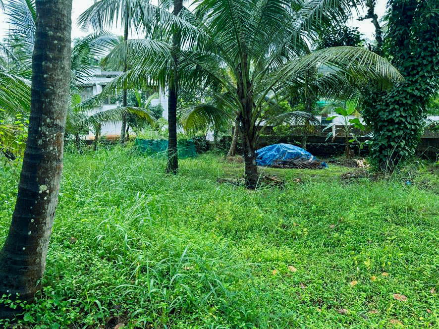 Individual House for sale in Kondotty Chelambra — photo 1