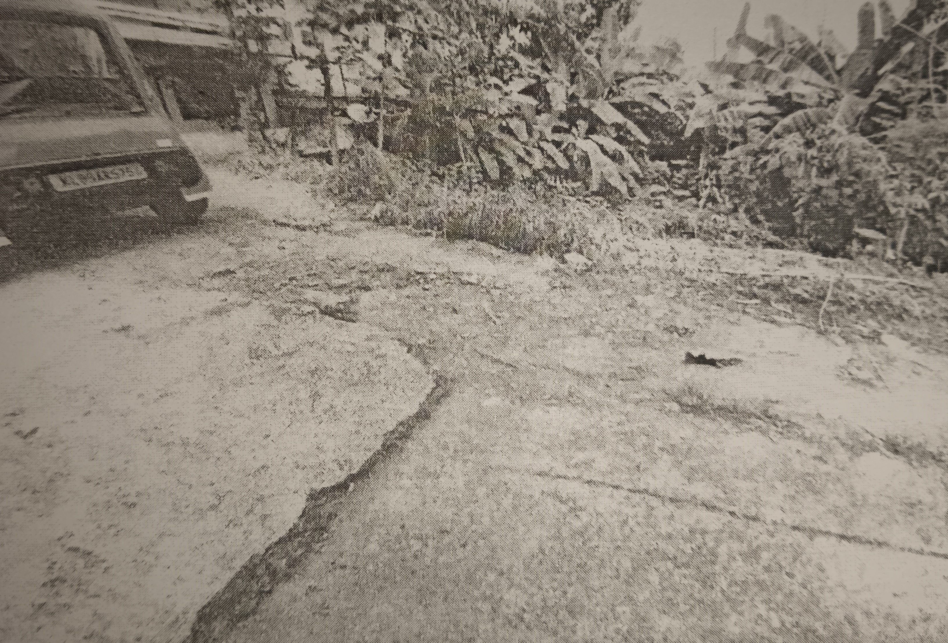 vacant for sale in PAMPADY — photo 1