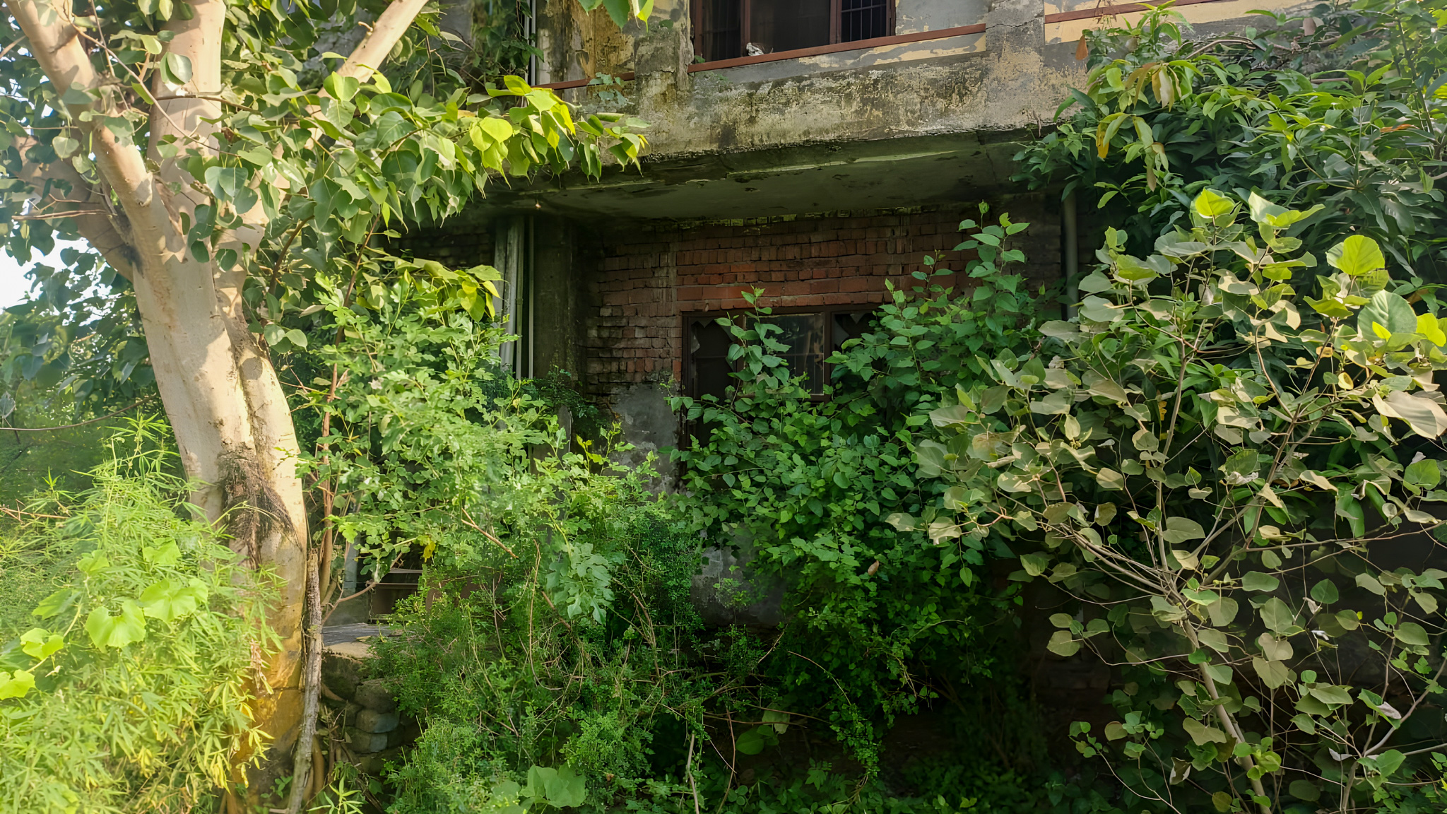 3700 square feet Individual House for sale in Gurdaspur — photo 4