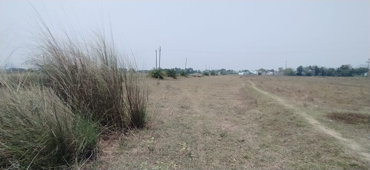 Plot for sale in Asika — photo 1