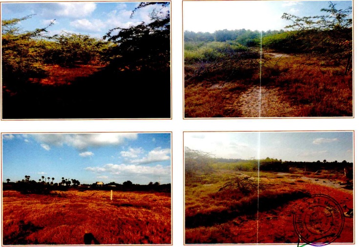 Plot for sale in Aravakurichi — photo 1
