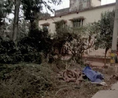 11761 square feet Individual House for sale in MANITRI, DHARMASALA, JAJPUR Brahmabarada — photo 2