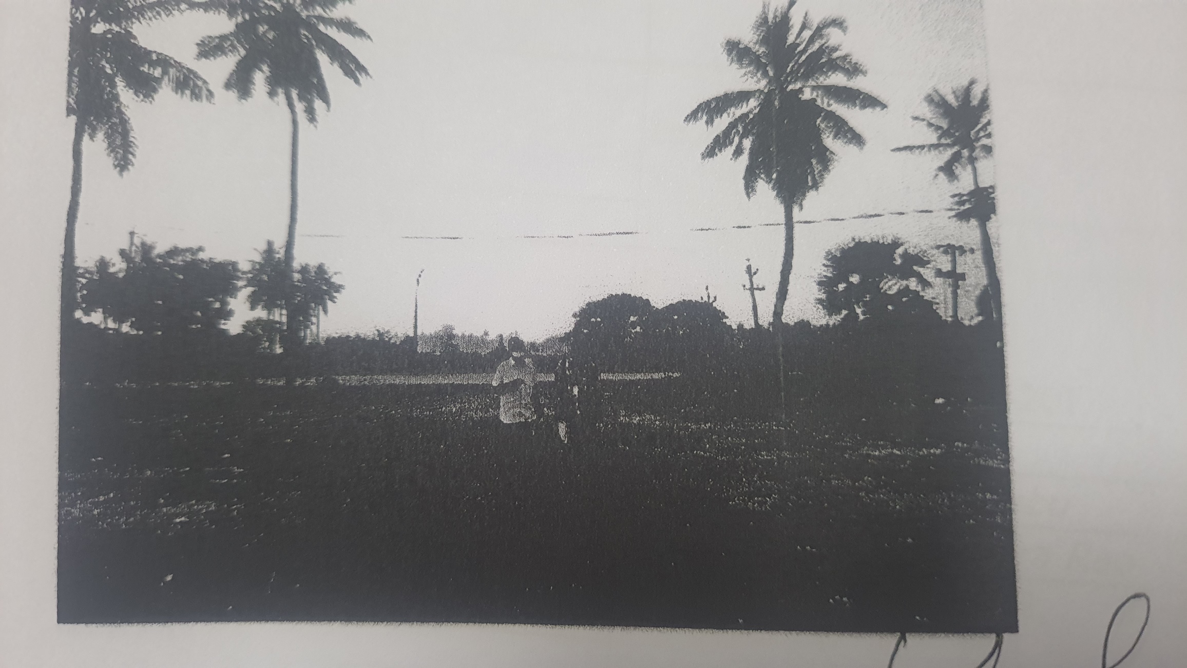 Plot for sale in near FCI godowns,srungavruksham Tadepalligudem — photo 1