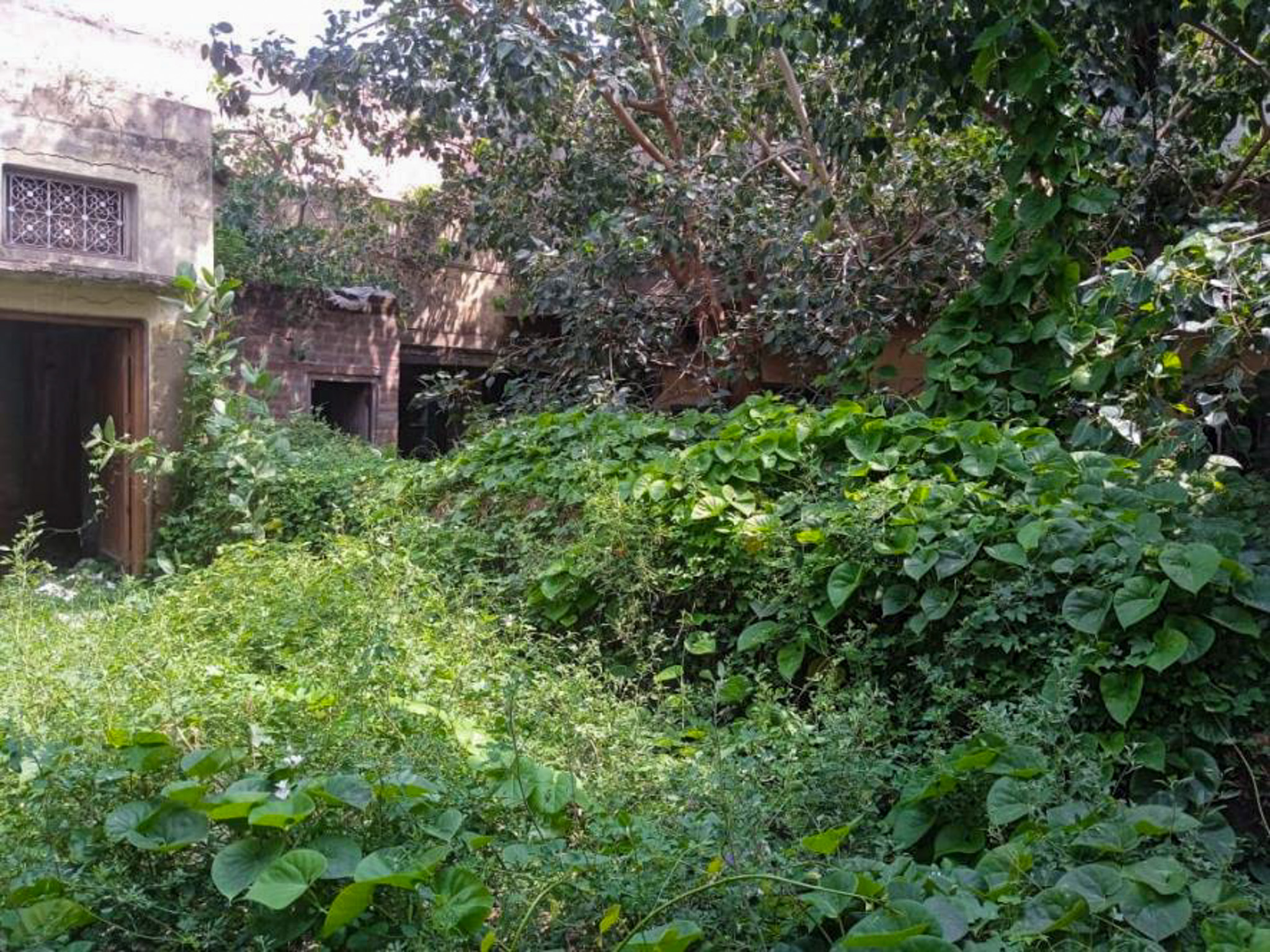 Individual House for sale in Barhi Industrial Area — photo 1