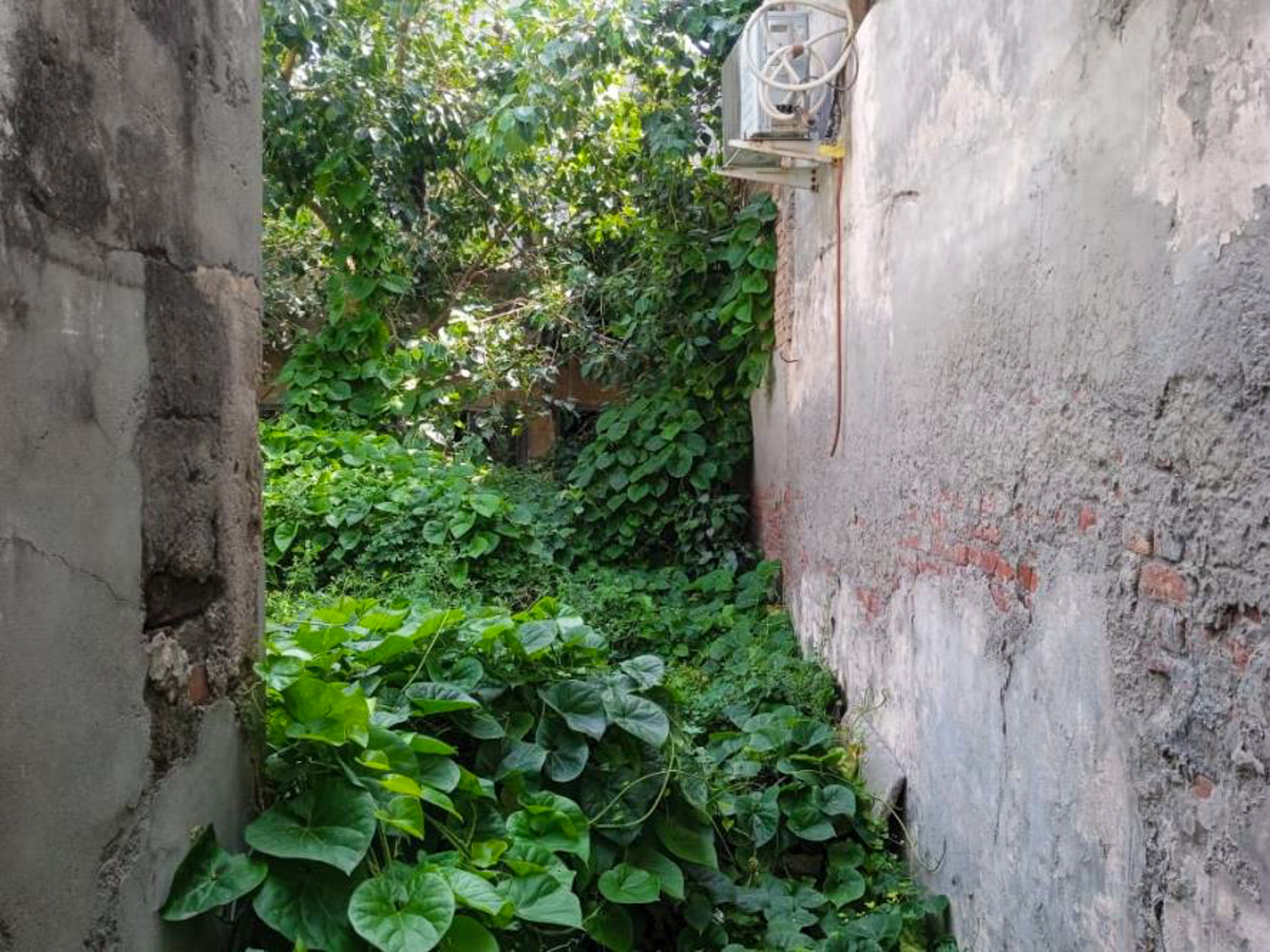 Individual House for sale in Barhi Industrial Area — photo 4