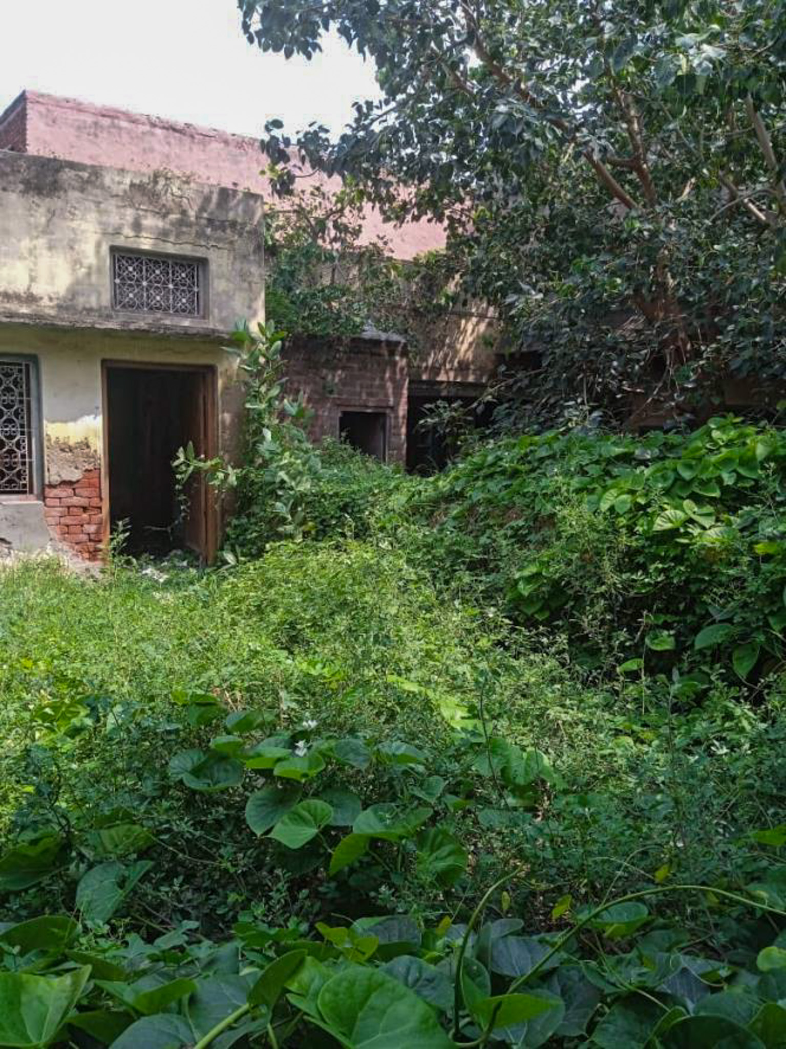 Individual House for sale in Barhi Industrial Area — photo 9