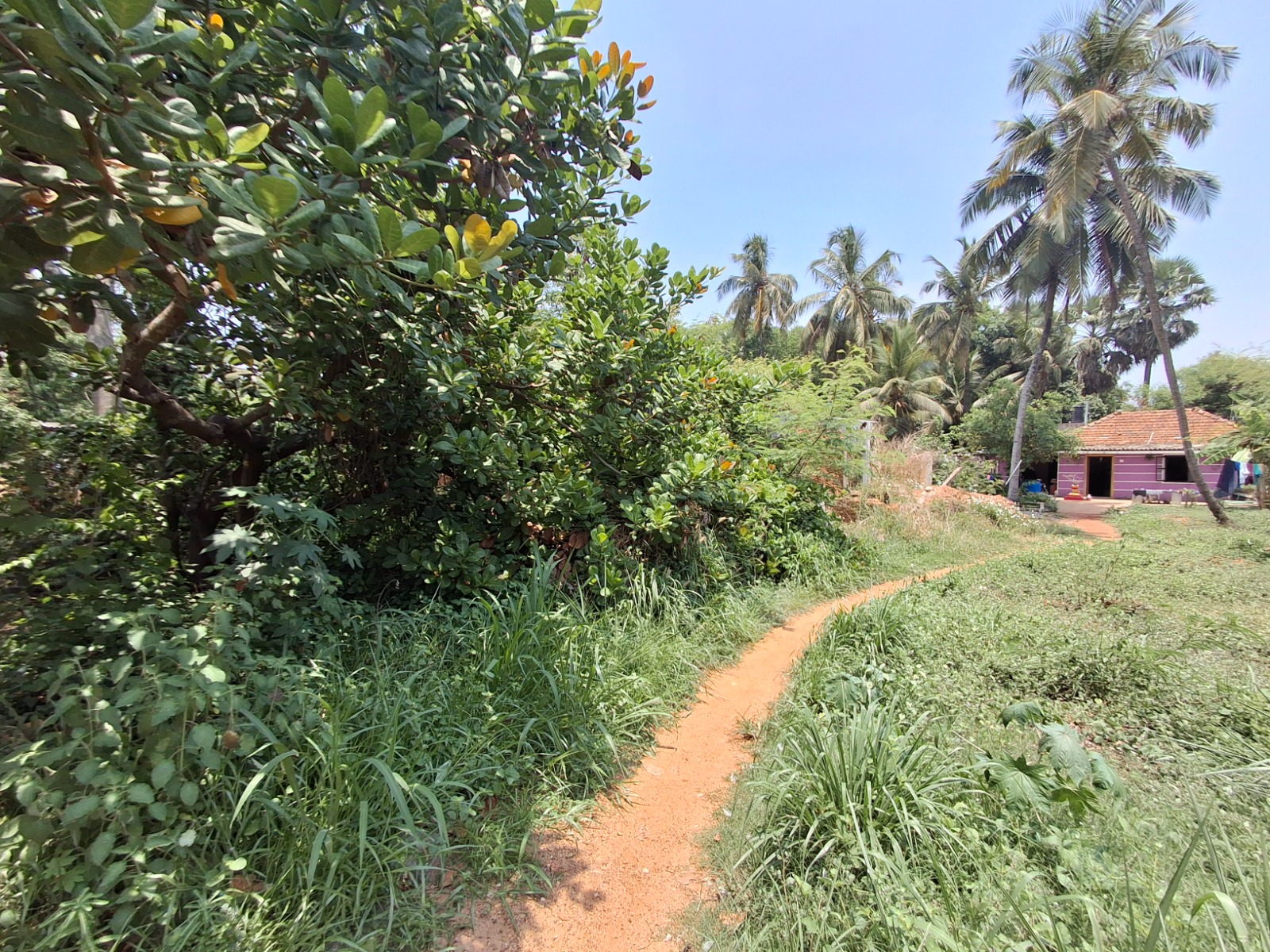 Plot for sale in Mangaluru — photo 1