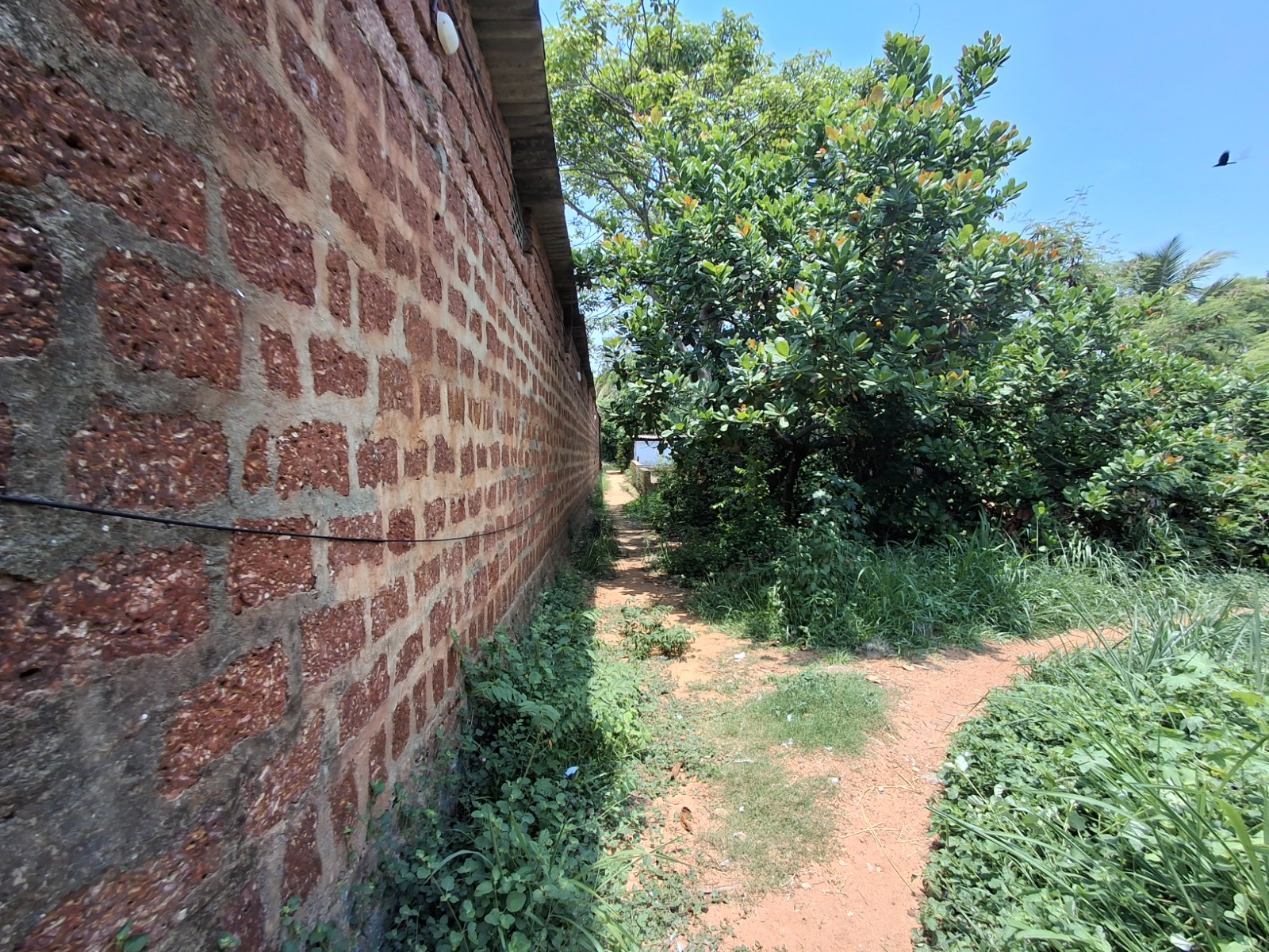 Plot for sale in Mangaluru — photo 6